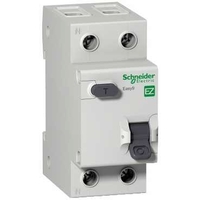 Дифавтомат Schneider Electric Easy9 2P 10А (C) 4.5кА 30мА (AC)